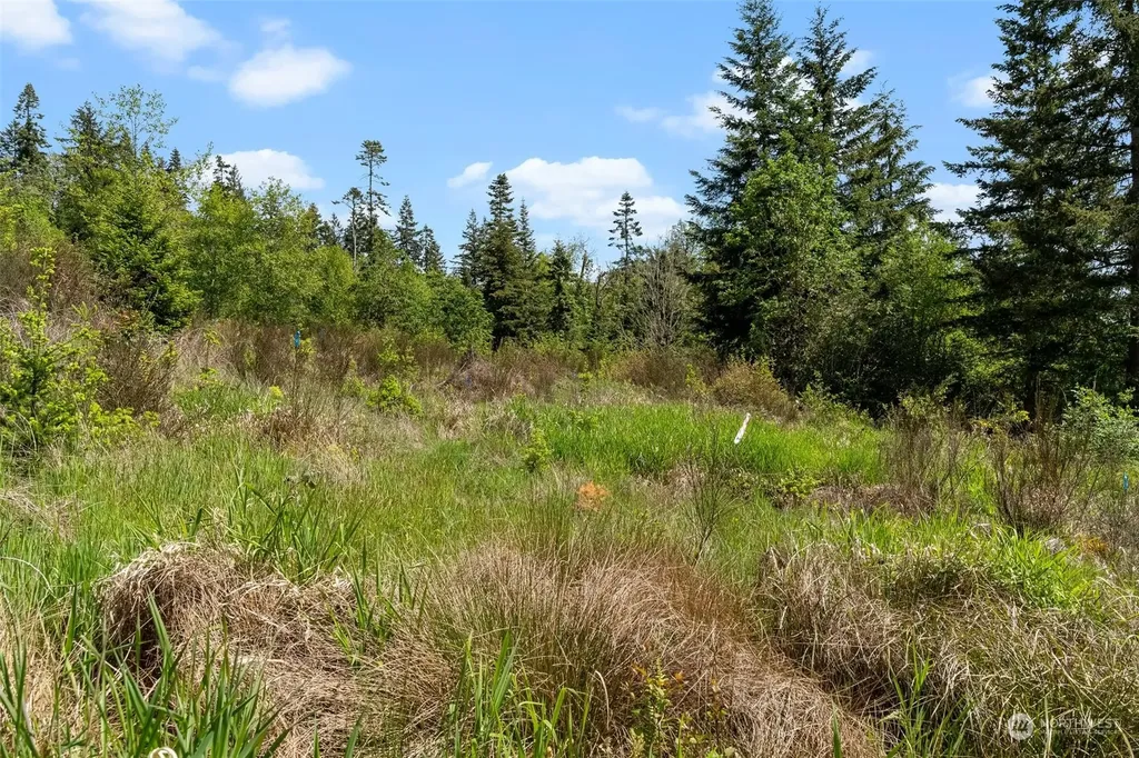 0 Germaine Drive Chehalis WA 98532