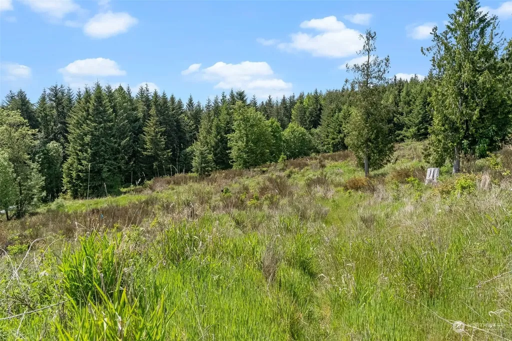 0 Germaine Drive Chehalis WA 98532