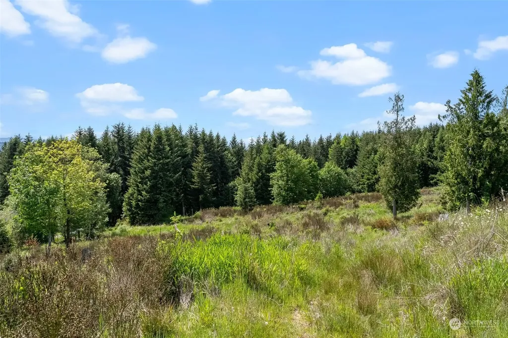 0 Germaine Drive Chehalis WA 98532