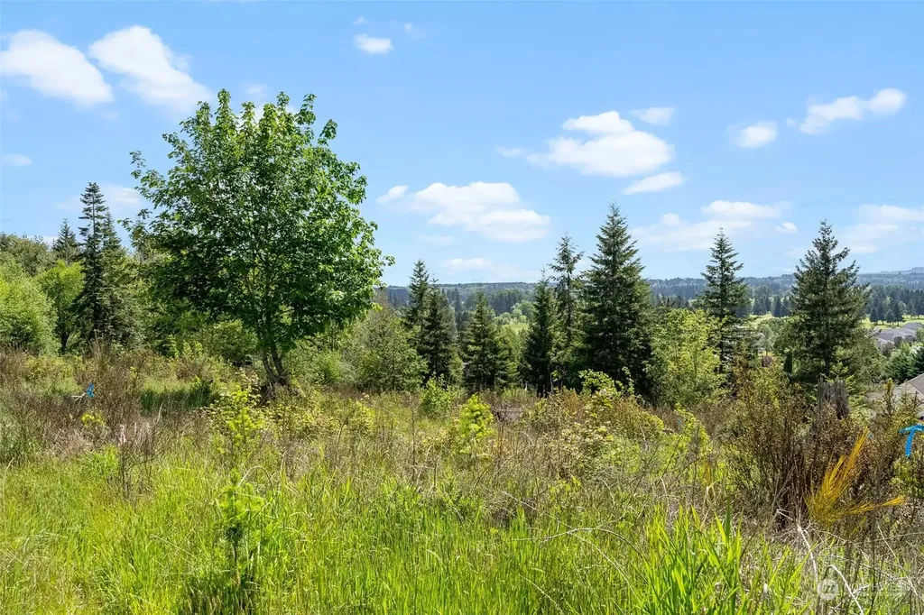0 Germaine Drive Chehalis WA 98532