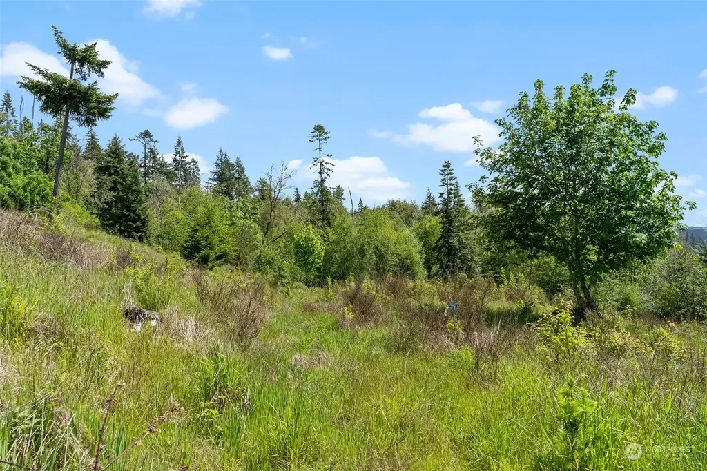 0 Germaine Drive Chehalis WA 98532