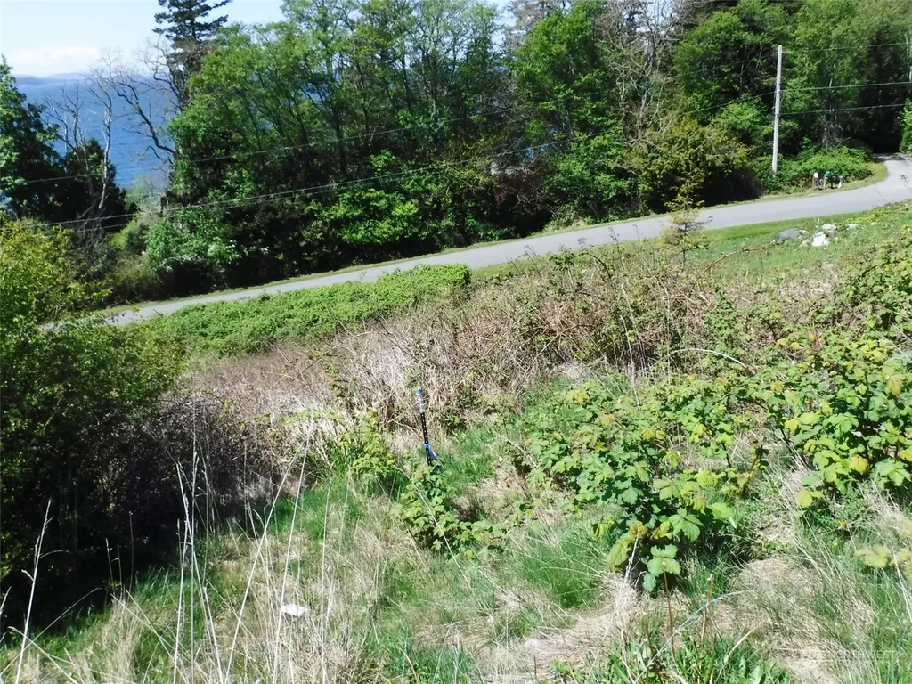 0 Taft Drive Lummi Island WA 98262