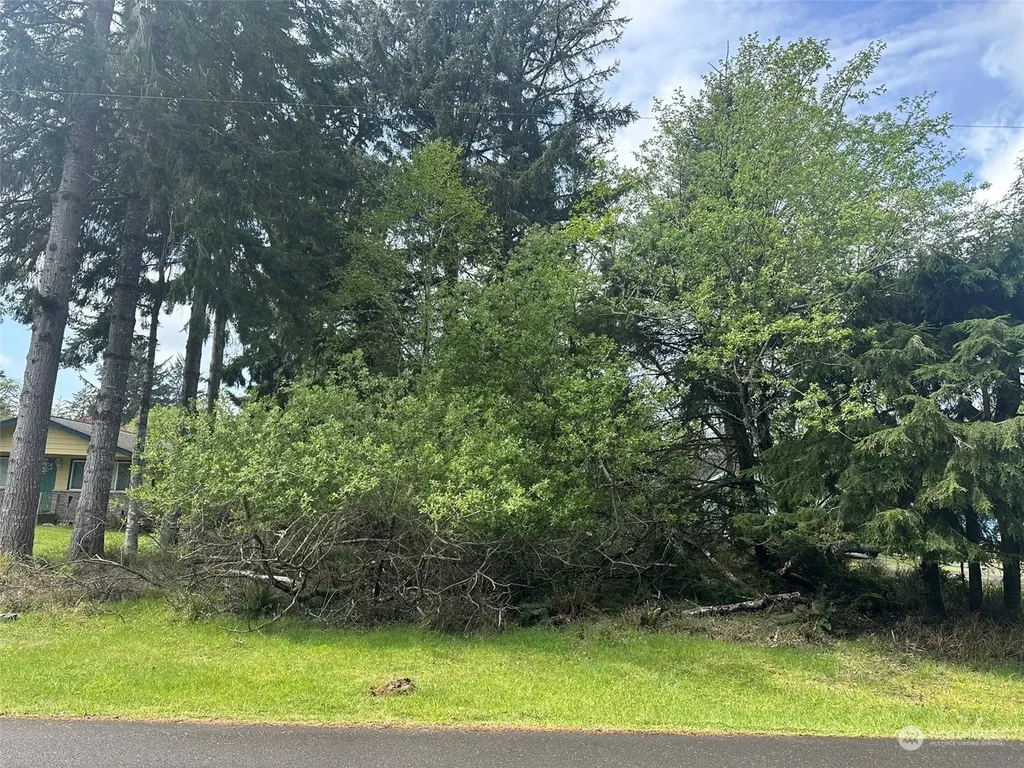 276 Bass Avenue NE Ocean Shores WA 98569
