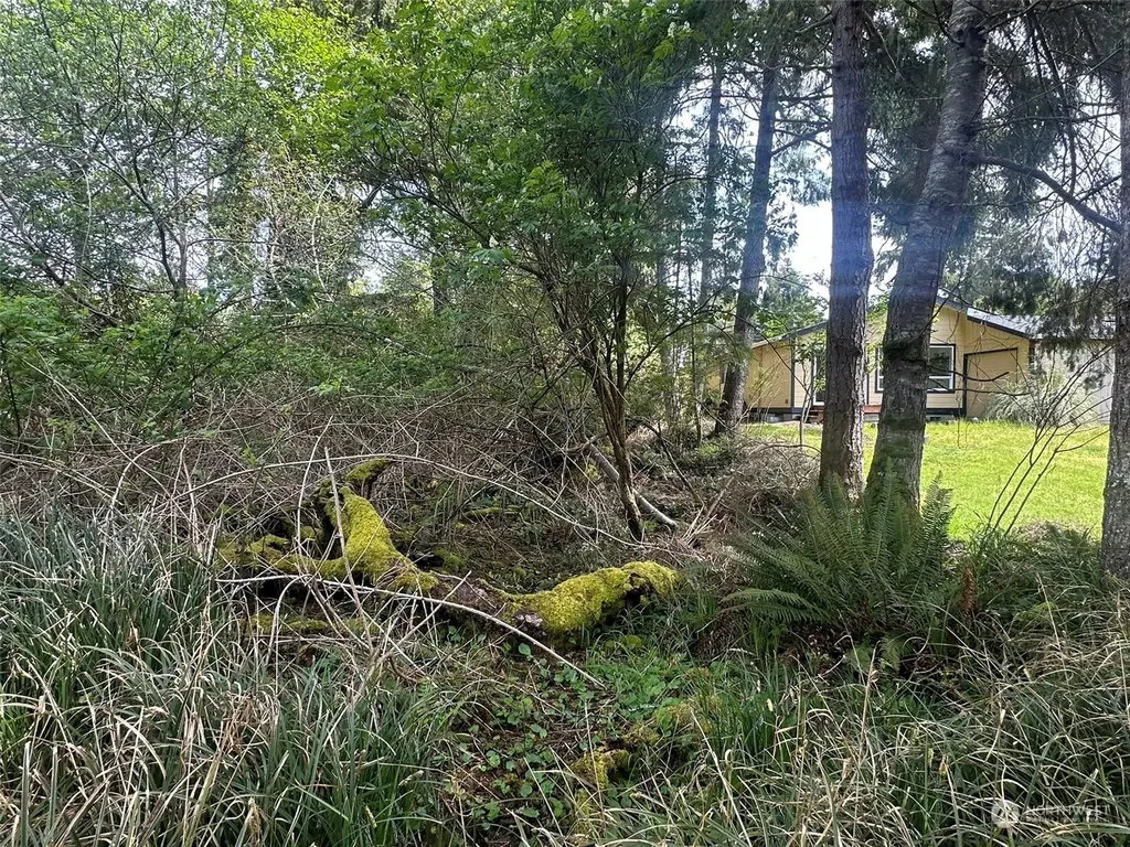 276 Bass Avenue NE Ocean Shores WA 98569