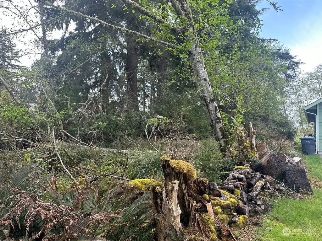 276 Bass Avenue NE Ocean Shores WA 98569
