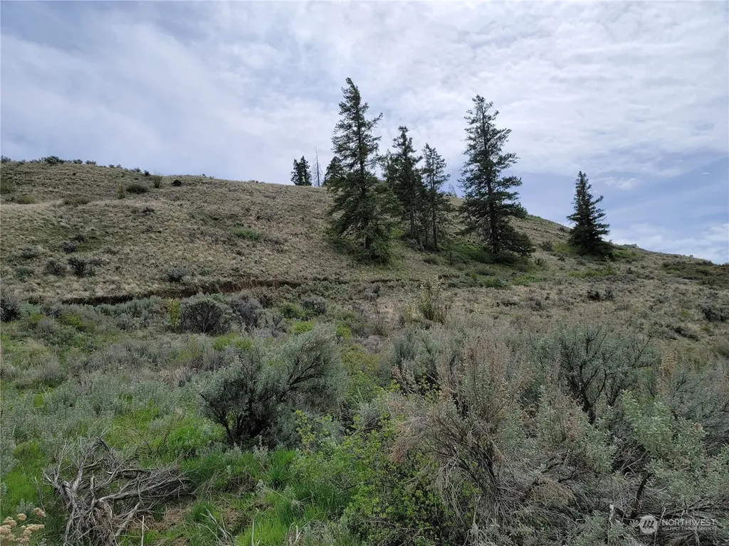 98 Tyee View Loop Road Orondo WA 98843