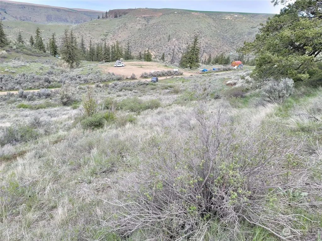 98 Tyee View Loop Road Orondo WA 98843