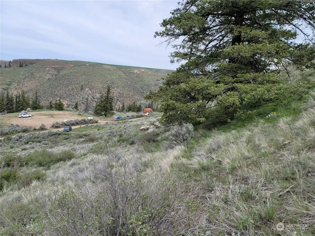 98 Tyee View Loop Road Orondo WA 98843