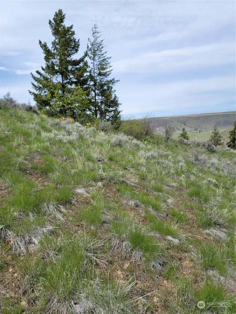 98 Tyee View Loop Road Orondo WA 98843
