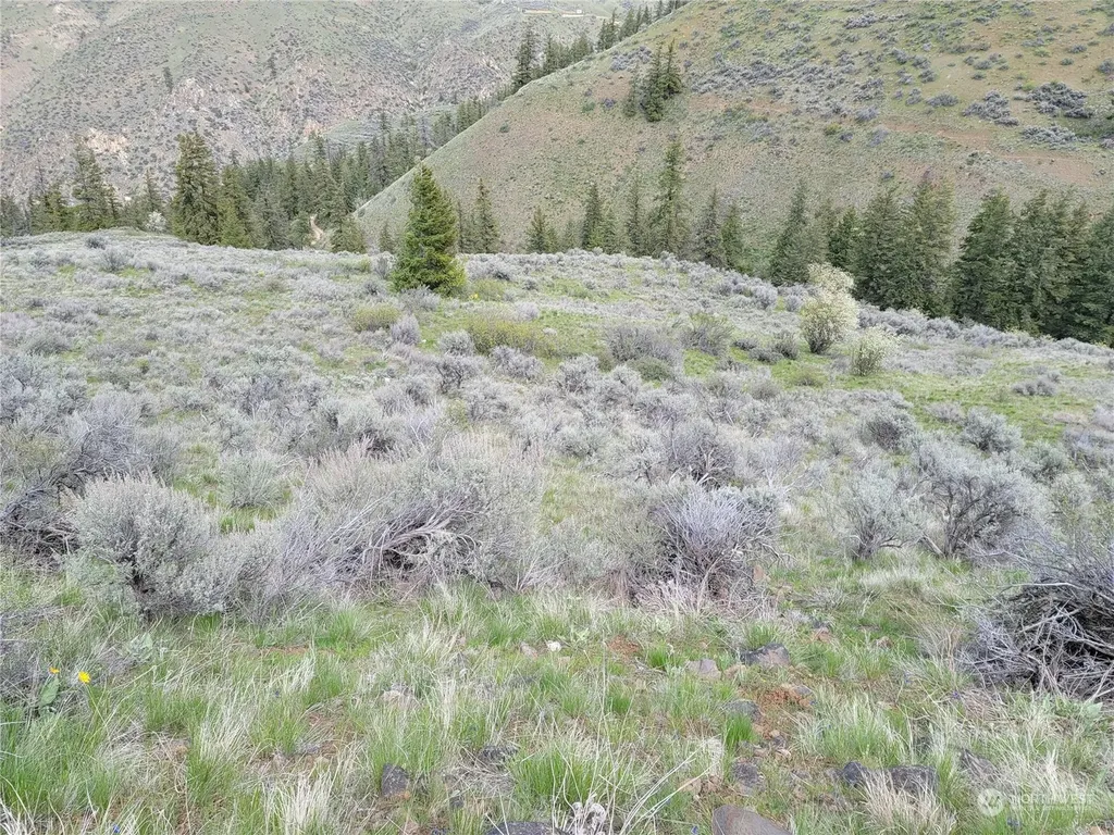 98 Tyee View Loop Road Orondo WA 98843