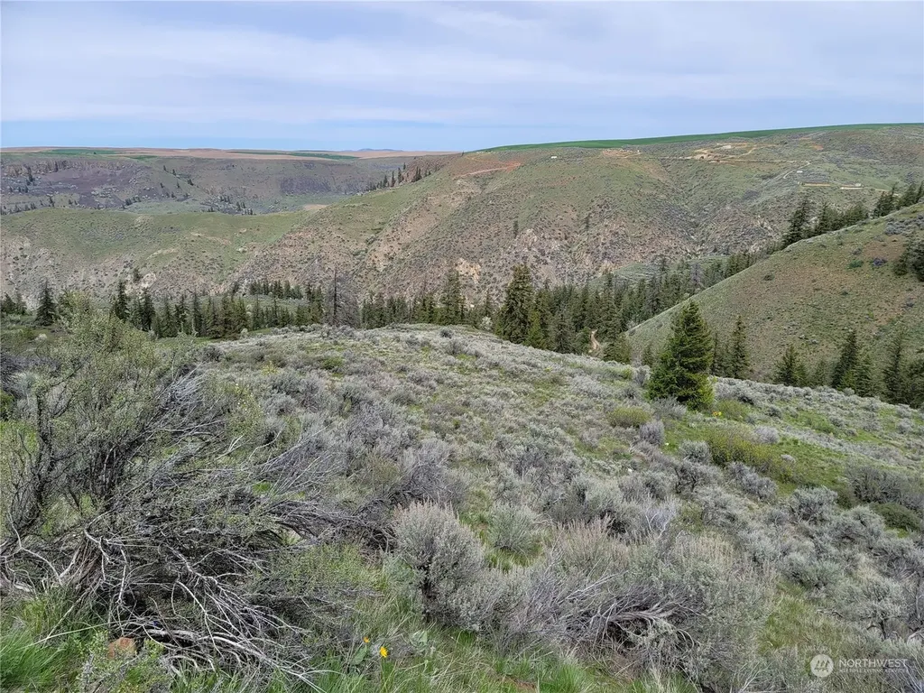 98 Tyee View Loop Road Orondo WA 98843
