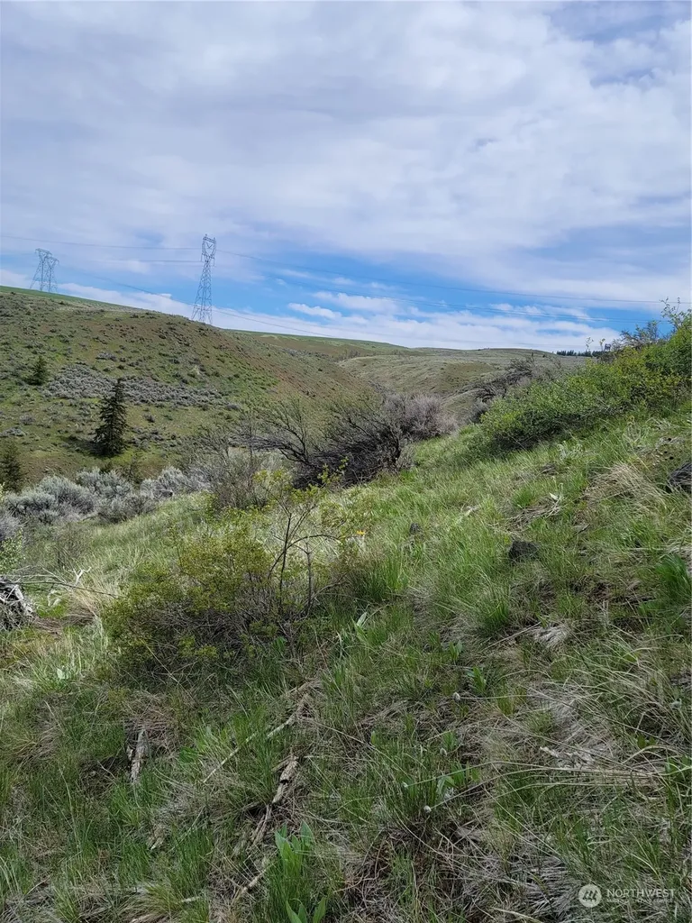 98 Tyee View Loop Road Orondo WA 98843