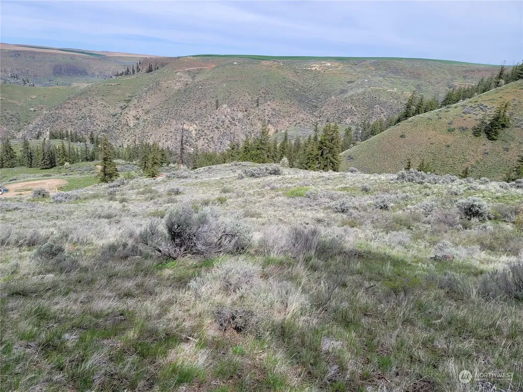 98 Tyee View Loop Road Orondo WA 98843