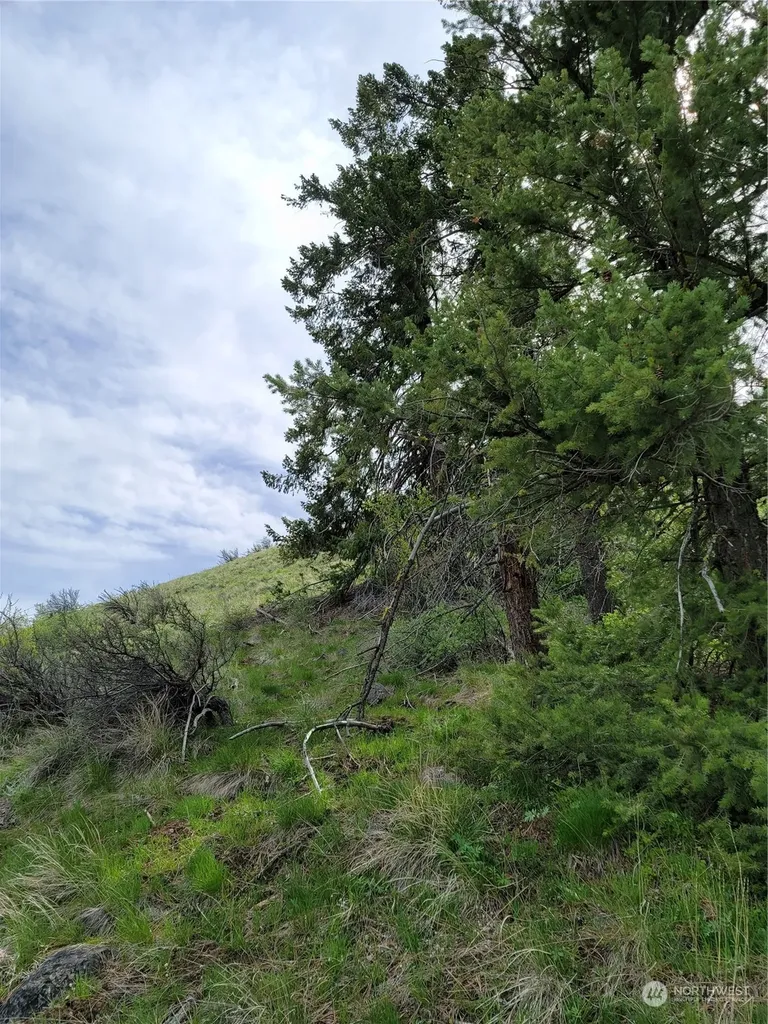 98 Tyee View Loop Road Orondo WA 98843