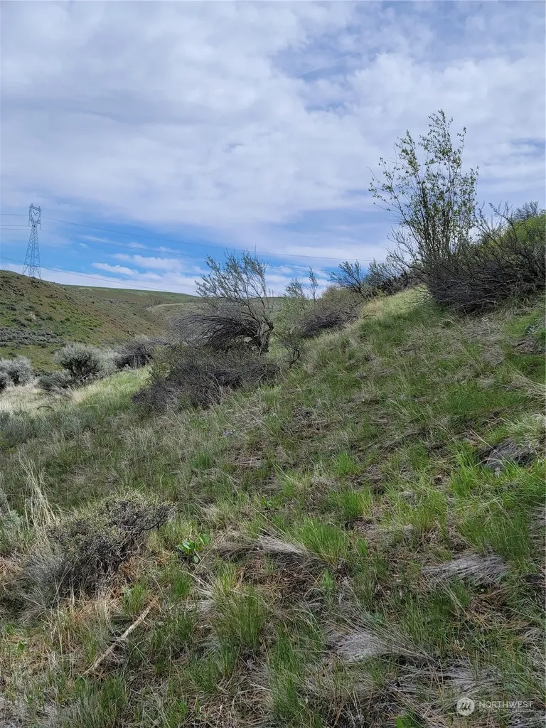 98 Tyee View Loop Road Orondo WA 98843