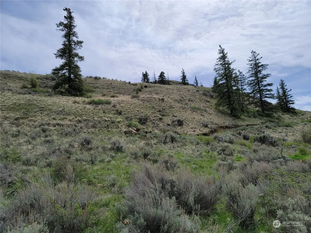 98 Tyee View Loop Road Orondo WA 98843