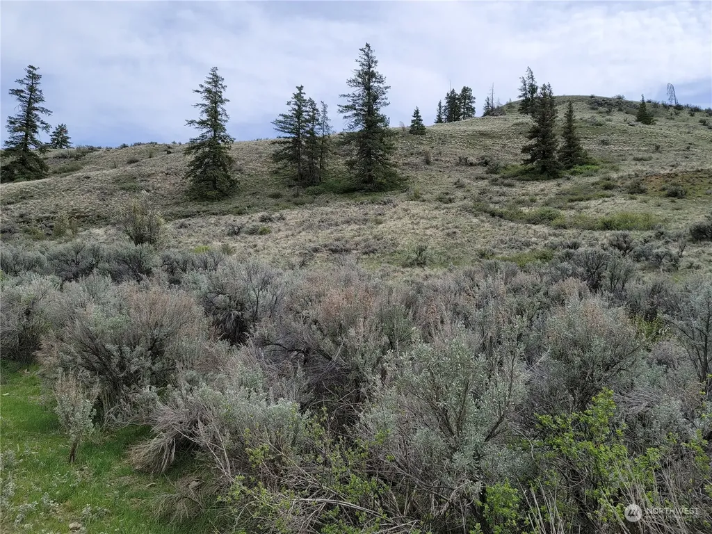 98 Tyee View Loop Road Orondo WA 98843