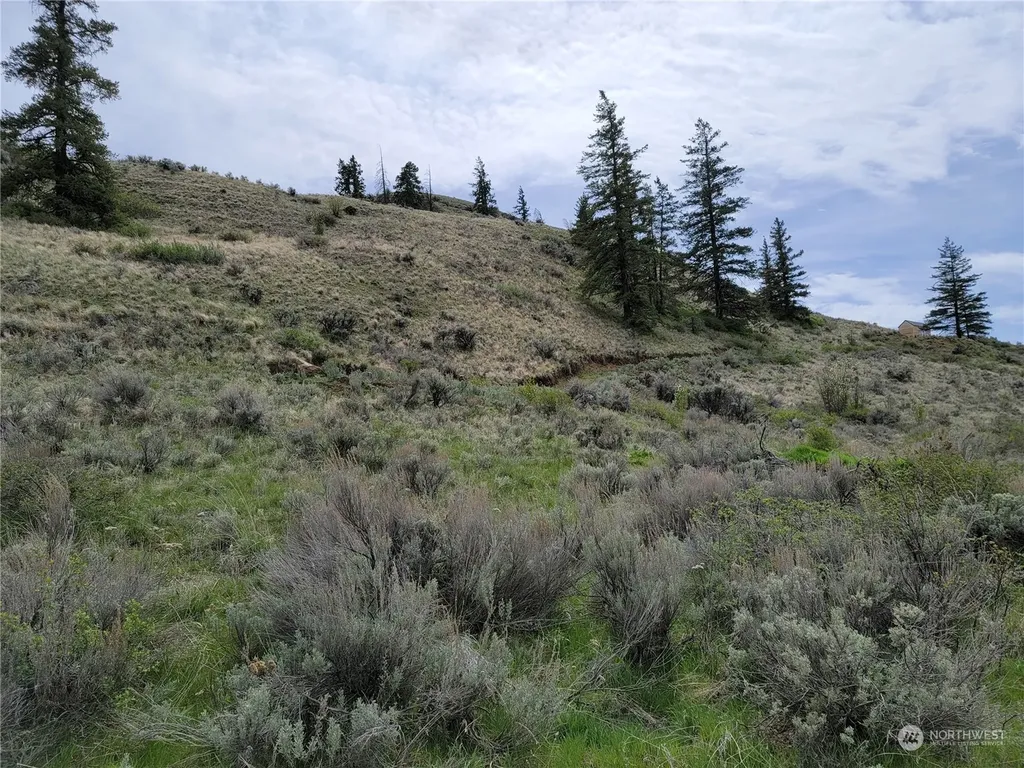 98 Tyee View Loop Road Orondo WA 98843