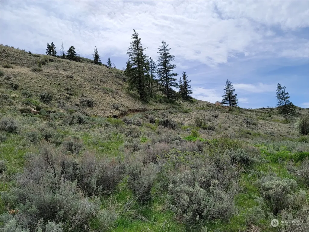 98 Tyee View Loop Road Orondo WA 98843