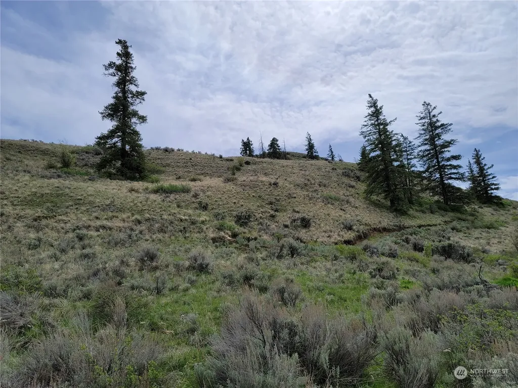 98 Tyee View Loop Road Orondo WA 98843
