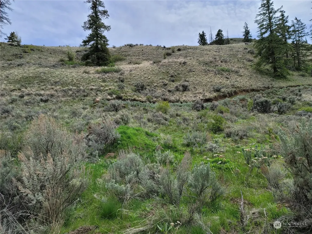 98 Tyee View Loop Road Orondo WA 98843