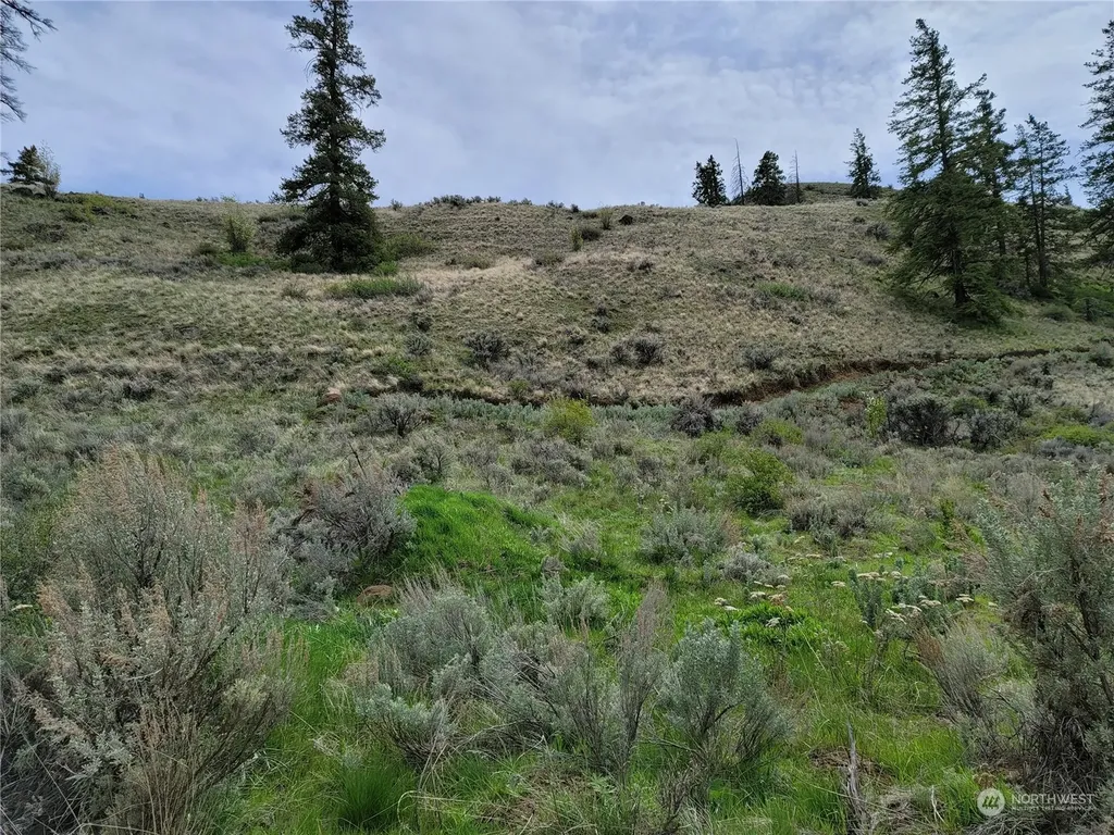 98 Tyee View Loop Road Orondo WA 98843