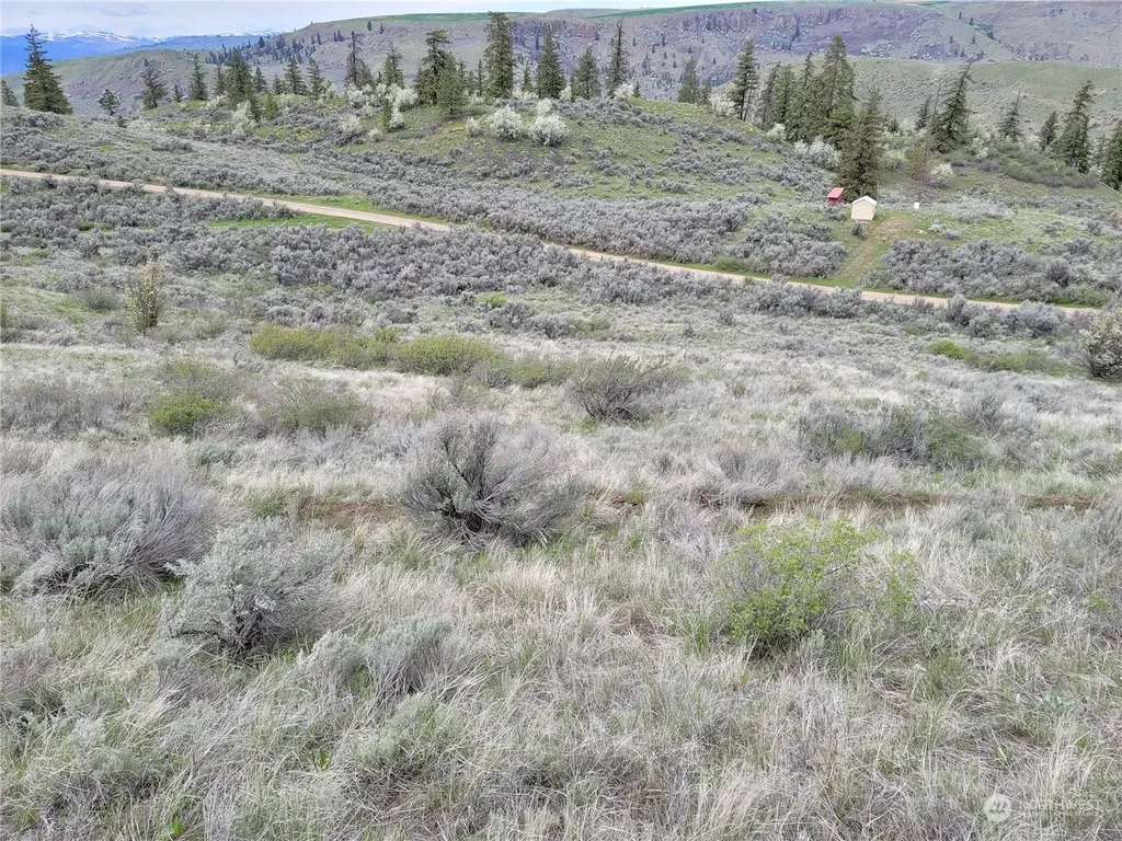 98 Tyee View Loop Road Orondo WA 98843
