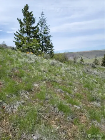 98 Tyee View Loop Road Orondo WA 98843