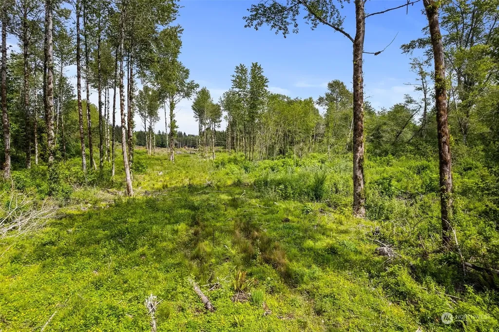 70 Joy Lane Humptulips WA 98552