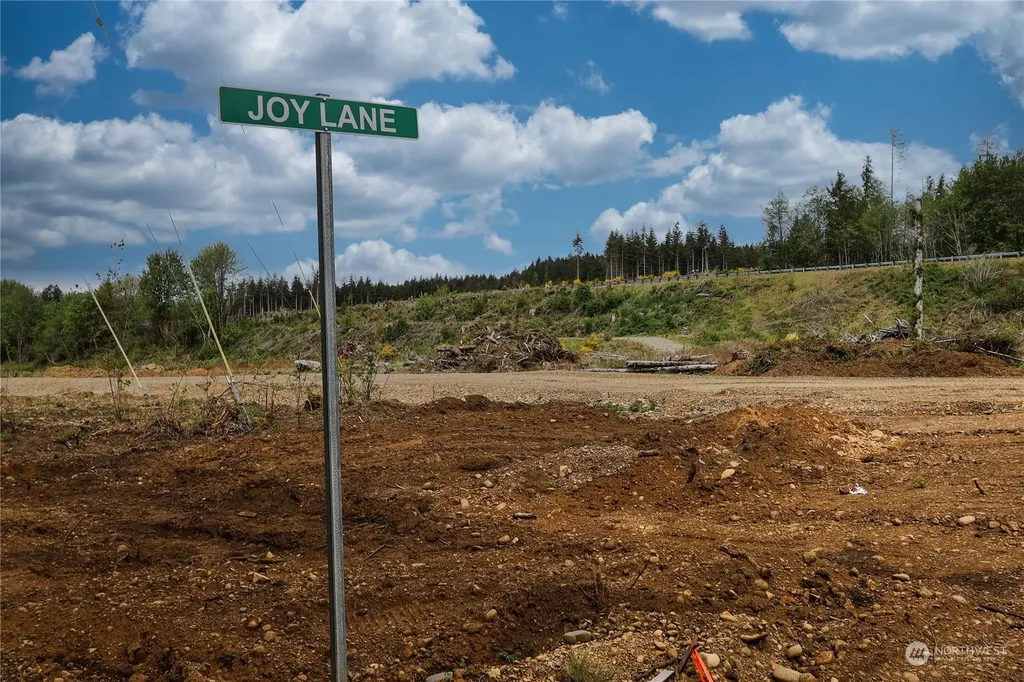 70 Joy Lane Humptulips WA 98552