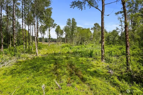 30 Joy Lane Humptulips WA 98552