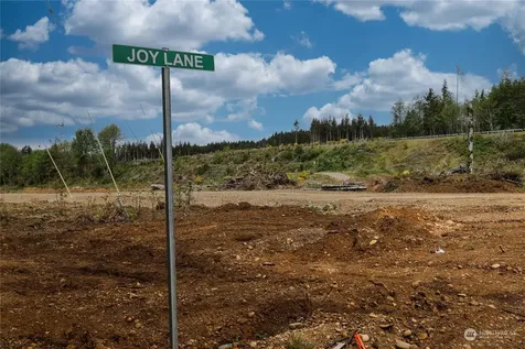 30 Joy Lane Humptulips WA 98552