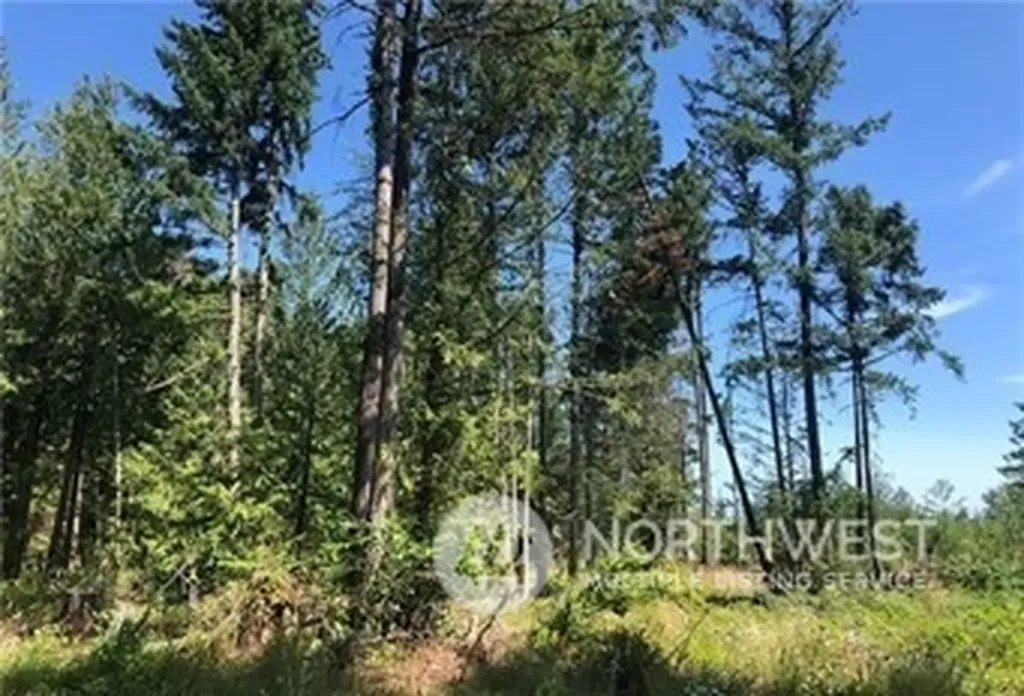 21800 70th Avenue E Spanaway WA 98387