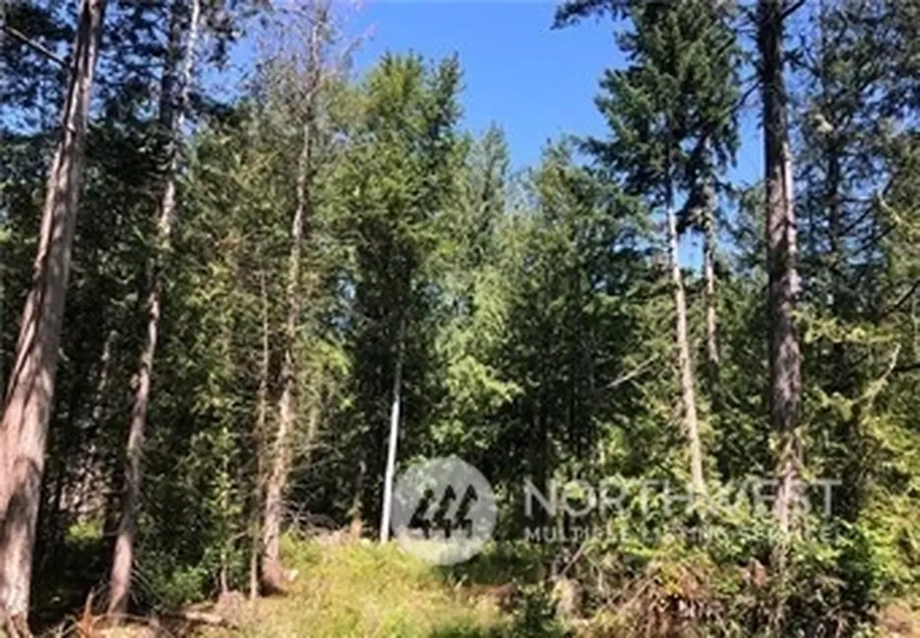 21900 70th Avenue E Spanaway WA 98387