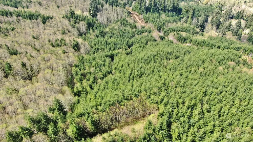 0 State Route 107 Montesano WA 98563