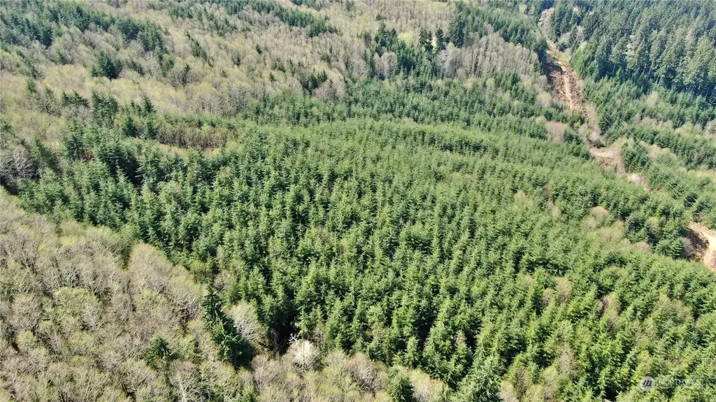 0 State Route 107 Montesano WA 98563