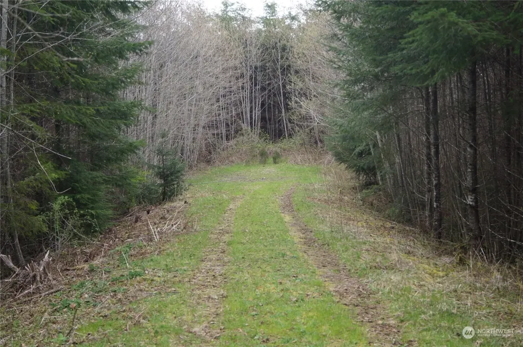 0 State Route 107 Montesano WA 98563