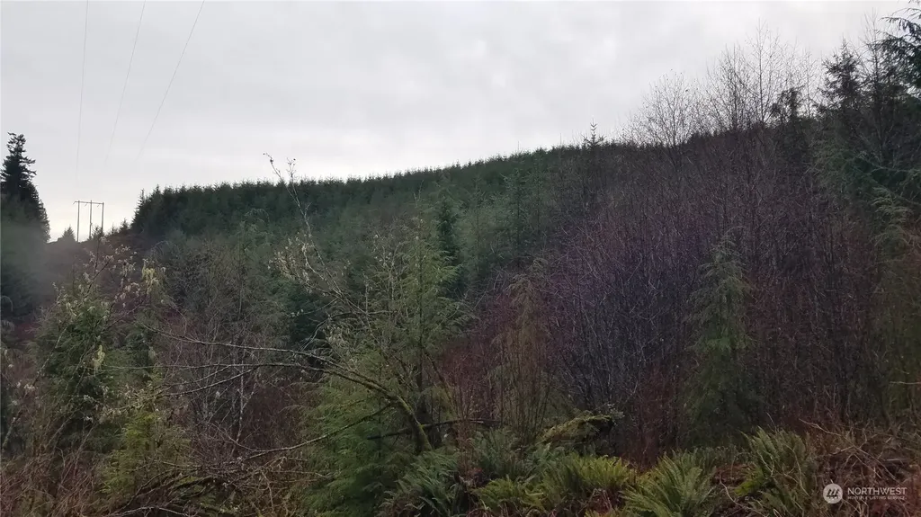 0 State Route 107 Montesano WA 98563