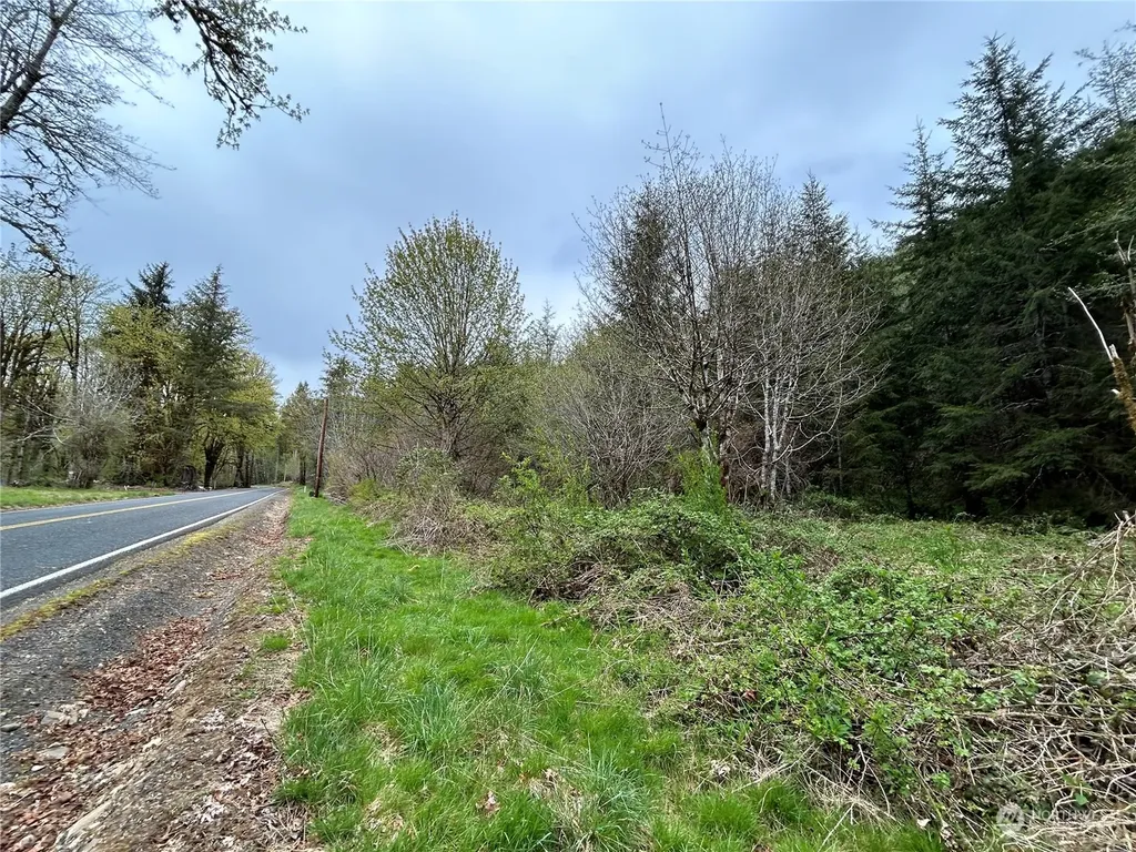 0 Abernathy Creek Road Longview WA 98632