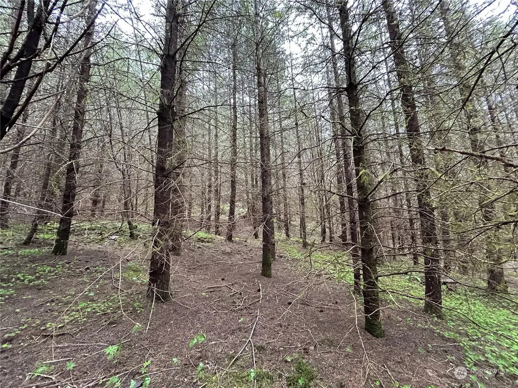 0 Abernathy Creek Road Longview WA 98632