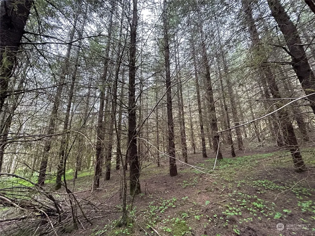 0 Abernathy Creek Road Longview WA 98632