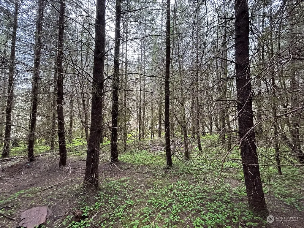 0 Abernathy Creek Road Longview WA 98632