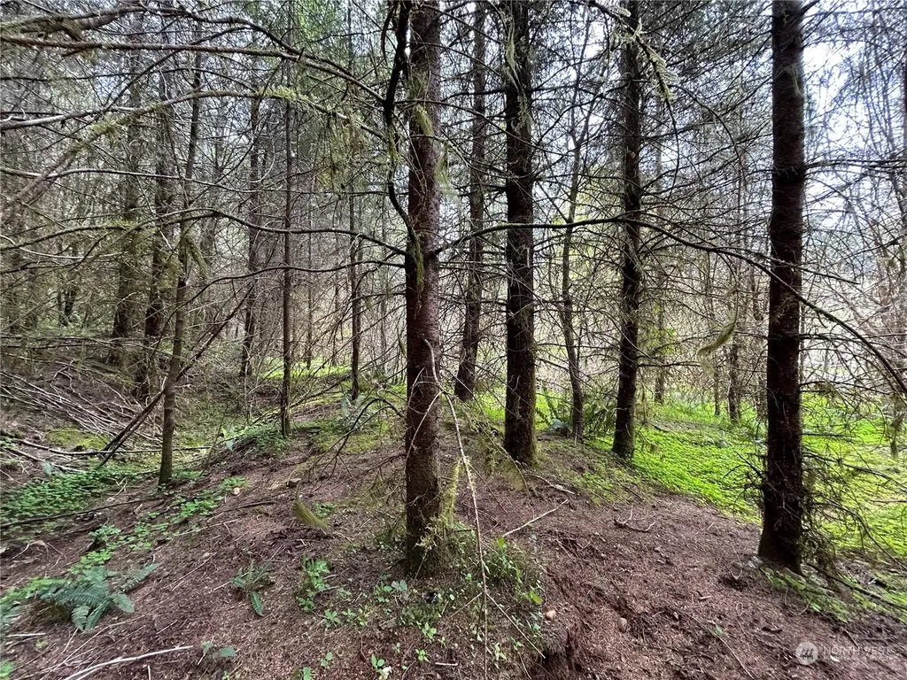0 Abernathy Creek Road Longview WA 98632
