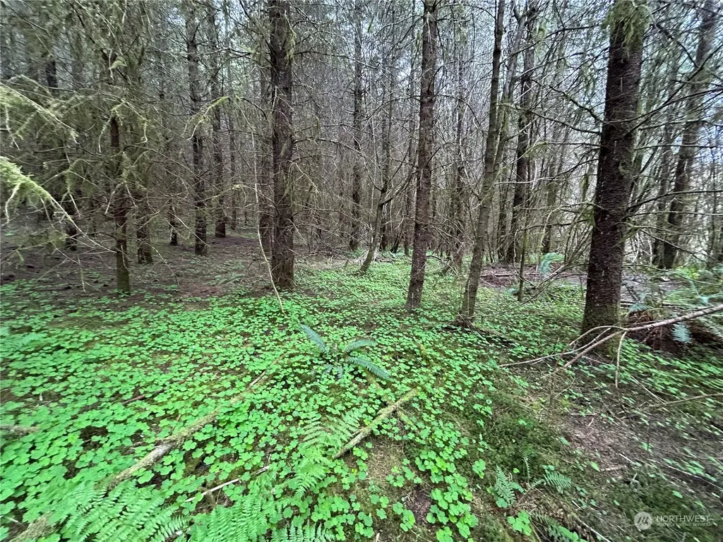 0 Abernathy Creek Road Longview WA 98632
