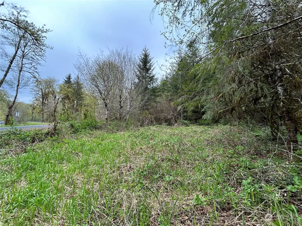 0 Abernathy Creek Road Longview WA 98632