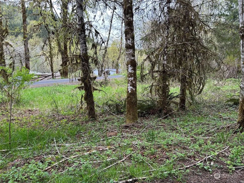 0 Abernathy Creek Road Longview WA 98632