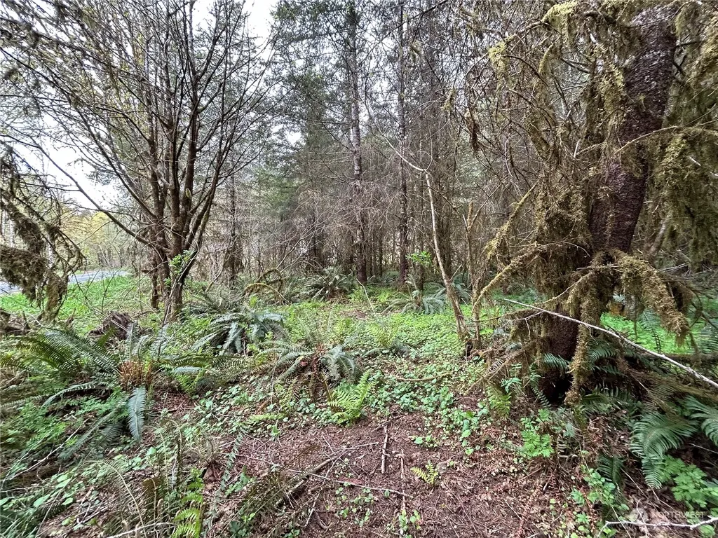 0 Abernathy Creek Road Longview WA 98632