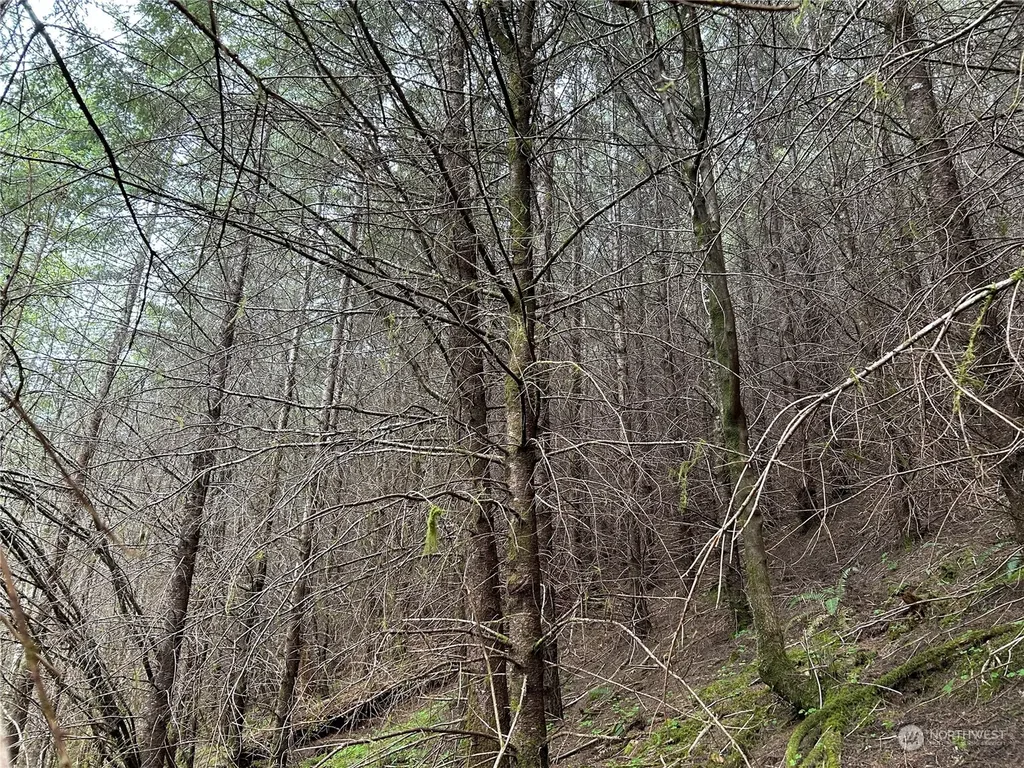 0 Abernathy Creek Road Longview WA 98632
