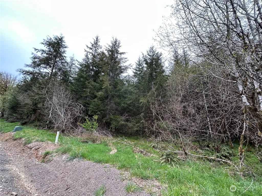 0 Abernathy Creek Road Longview WA 98632
