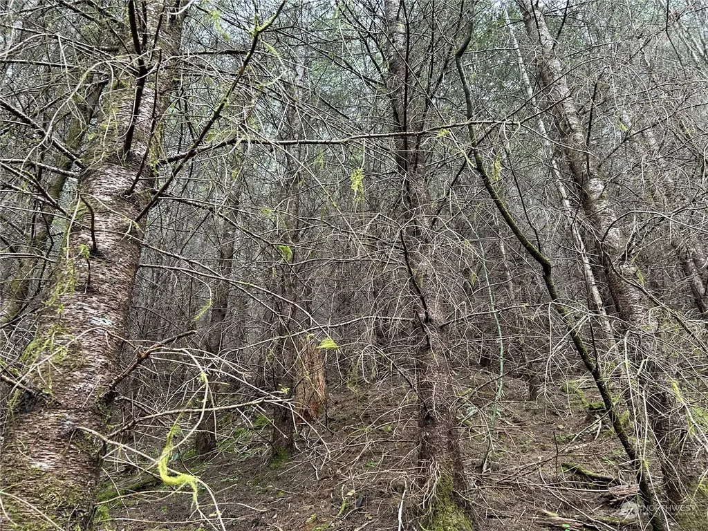 0 Abernathy Creek Road Longview WA 98632